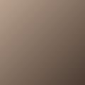 Placeholder - avatar-2
